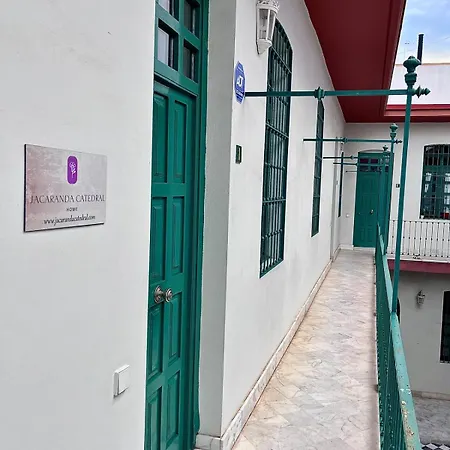 Jacaranda Triana